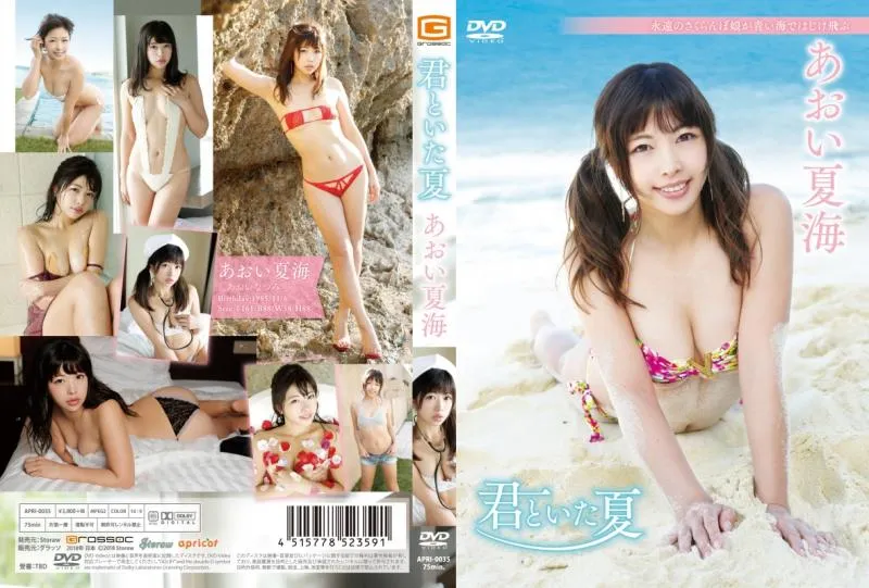 あおい夏海/君といた夏