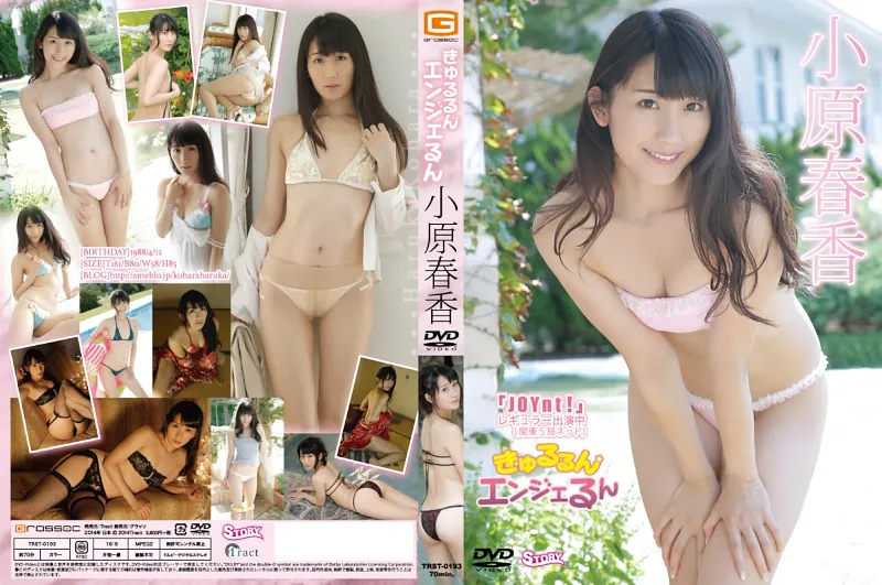 きゅるるんエンジェるん
