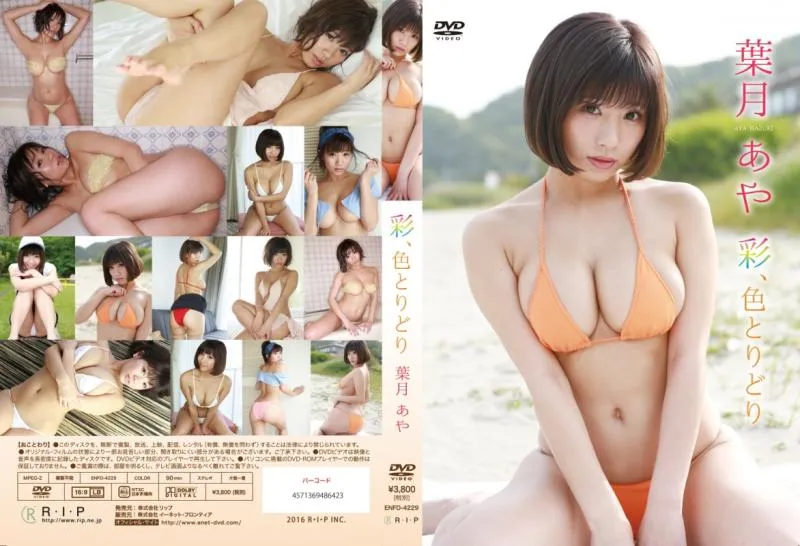葉月あや/彩、色とりどり